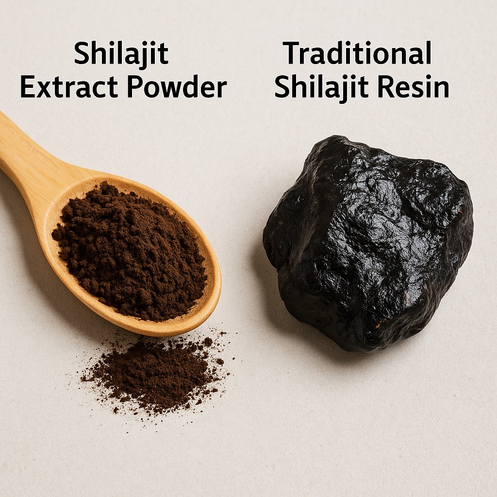 Shilajit extract powder next to traditional resin, showing the difference in form and concentration